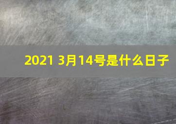 2021 3月14号是什么日子